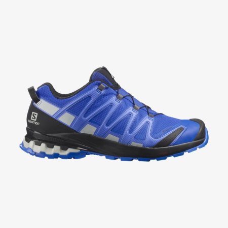 Scarpe Trail Running Salomon XA PRO 3D v8 GORE-TEX Uomo Blu IT 1-T05